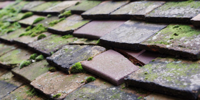 Great Billington roof repair costs